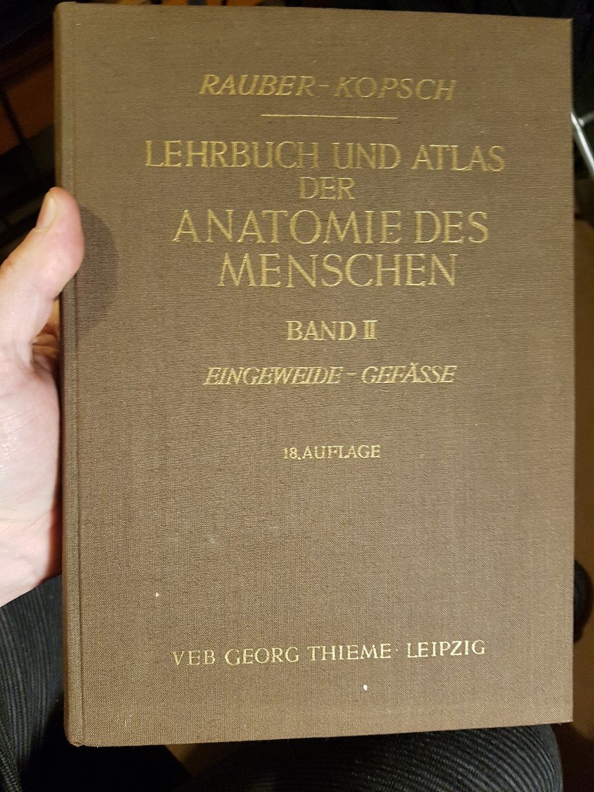 Lehrbuch und Atlas der Anatomie 2.“ (Rauber-Kopsch) – Buch antiquarisch  kaufen – A02u9PVH01ZZF